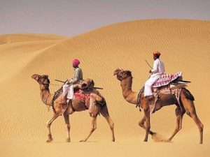राजस्थान में ऊंट संरक्षण की नई मुहिम, दूध और उत्पादों से बढ़ेगी पशुपालकों की आय