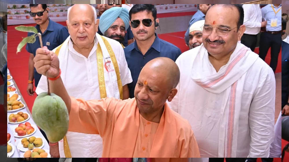 आधा किलो वजनी आम ने खींचा सबका ध्यान, यूपी मैंगो फेस्टिवल में CM योगी ने की सराहना आधा किलो वजनी आम ने खींचा सबका ध्यान, यूपी मैंगो फेस्टिवल में CM योगी ने की सराहना