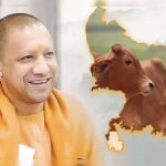 योगी सरकार की नंदिनी योजना किसानों की आय बढ़ाने का बड़ा अवसर