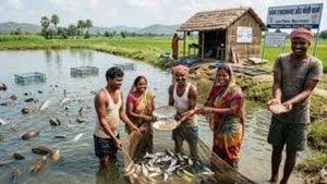 सरकार देगी 60 प्रतिशत अनुदान, किसान करेंगे मोती और झींगा पालन सरकार देगी 60 प्रतिशत अनुदान, किसान करेंगे मोती और झींगा पालन