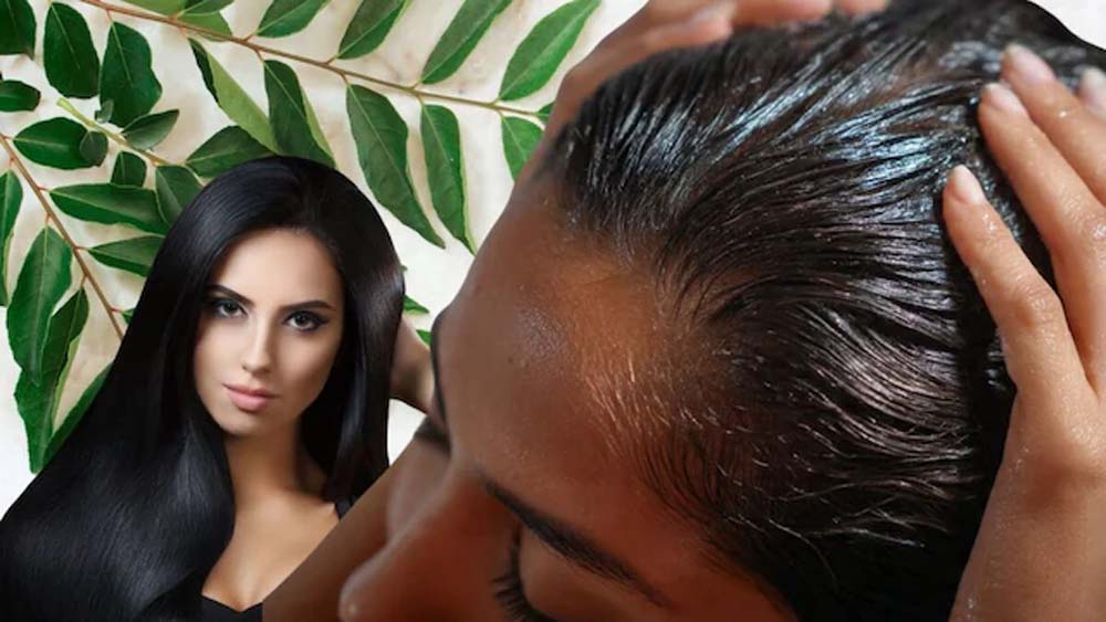 सफेद बालों से राहत के लिए करी पत्ते का तेल, जानें फायदे और इस्तेमाल का तरीका सफेद बालों से राहत के लिए करी पत्ते का तेल, जानें फायदे और इस्तेमाल का तरीका