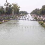 सतलुज के पानी से हरियाणा में आई हरित क्रांति, 14,800 किमी नहर नेटवर्क ने बदली तस्वीर