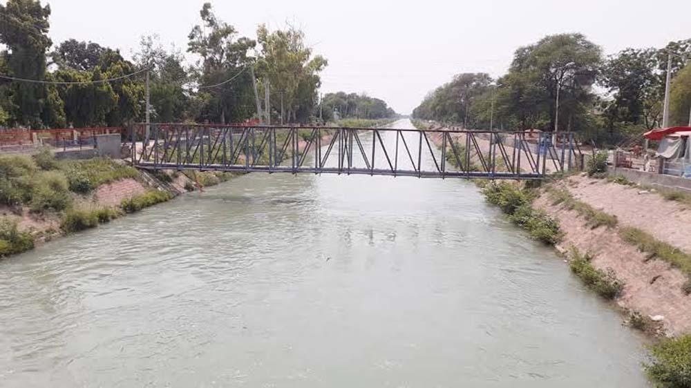 सतलुज के पानी से हरियाणा में आई हरित क्रांति, 14,800 किमी नहर नेटवर्क ने बदली तस्वीर सतलुज के पानी से हरियाणा में आई हरित क्रांति, 14,800 किमी नहर नेटवर्क ने बदली तस्वीर