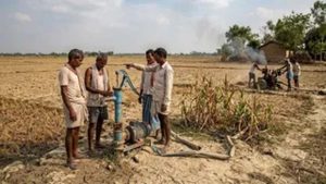 IMD पूर्वानुमान के बाद कृषि विभाग सक्रिय, धान की कम अवधि वाली किस्में अपनाने की अपील