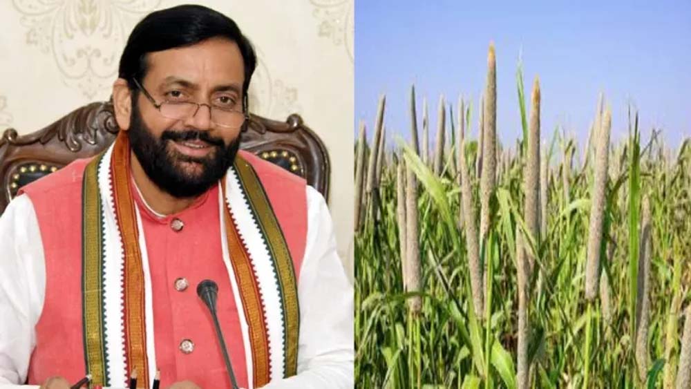 ज्वार और बाजरा खेती पर हरियाणा सरकार देगी सब्सिडी, किसानों के लिए नई योजना शुरू