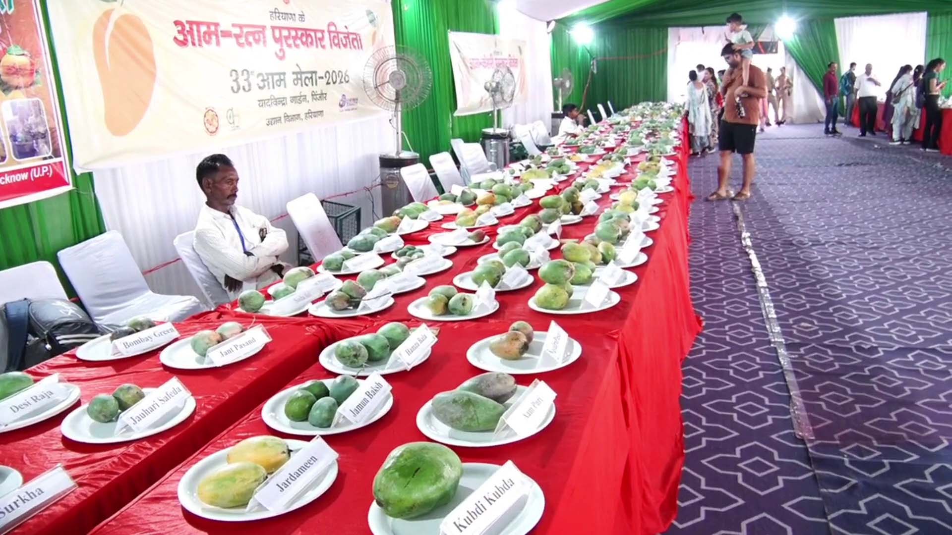 यादविंद्रा गार्डन में 33वां आम मेला शुरू, पांच राज्यों के किसानों ने सजाई आमों की अनोखी दुनिया