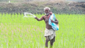 राजस्थान सरकार की नई गाइडलाइन, फसल बीमा कंपनियों को नियम तोड़ना पड़ेगा महंगा राजस्थान सरकार की नई गाइडलाइन, फसल बीमा कंपनियों को नियम तोड़ना पड़ेगा महंगा