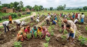‘एक पेड़ मां के नाम’ अभियान को बढ़ावा, स्वतंत्रता दिवस पर हर जिले में लगेंगे 150 पौधे