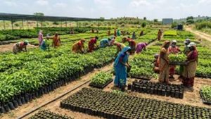 नदियों के तट से पांच किमी. की परिधि में पौधरोपण कर 22240 से अधिक हेक्टेयर भूमि को आच्छादित करेगी योगी सरकार