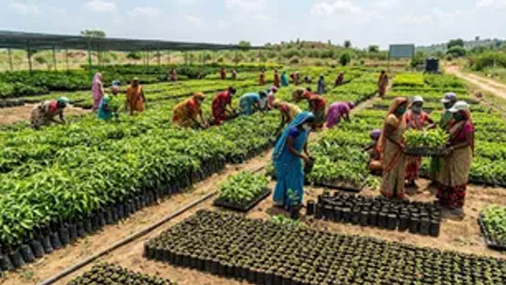 नदियों के तट से पांच किमी. की परिधि में पौधरोपण कर 22240 से अधिक हेक्टेयर भूमि को आच्छादित करेगी योगी सरकार नदियों के तट से पांच किमी. की परिधि में पौधरोपण कर 22240 से अधिक हेक्टेयर भूमि को आच्छादित करेगी योगी सरकार