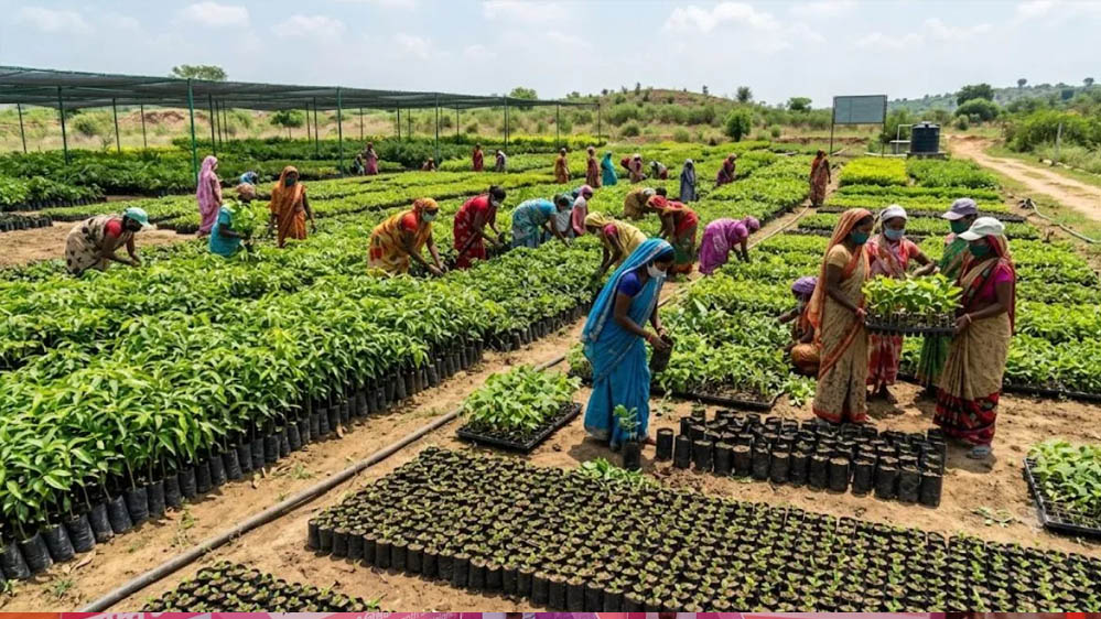 उप्र में हरियाली की बड़ी तैयारी! 2600 से अधिक नर्सरियों में 57.62 करोड़ पौधे रोपण के लिए तैयार उप्र में हरियाली की बड़ी तैयारी! 2600 से अधिक नर्सरियों में 57.62 करोड़ पौधे रोपण के लिए तैयार