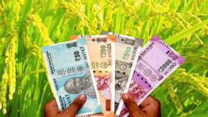किसानों की आय बढ़ाने की पहल, 758 हेक्टेयर में लगेंगे बाग किसानों की आय बढ़ाने की पहल, 758 हेक्टेयर में लगेंगे बाग