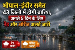 एमपी में भारी बारिश का दौर जारी, 43 जिलों के लिए 5 दिन का रेड-ऑरेंज अलर्ट एमपी में भारी बारिश का दौर जारी, 43 जिलों के लिए 5 दिन का रेड-ऑरेंज अलर्ट