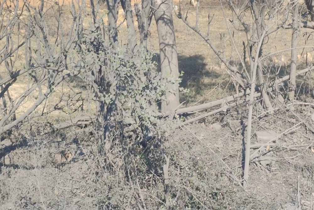 छत्तीसगढ़ का रामसर वेटलैंड खतरे में, 5 किमी के भीतर 2 कोल वाशरी-9 कोल डिपो, काले पानी का बढ़ा संकट छत्तीसगढ़ का रामसर वेटलैंड खतरे में, 5 किमी के भीतर 2 कोल वाशरी-9 कोल डिपो, काले पानी का बढ़ा संकट