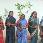 छत्तीसगढ़ में हरियाली का महाअभियान, 2.45 लाख महिलाएं एक साथ लगाएंगी पौधे