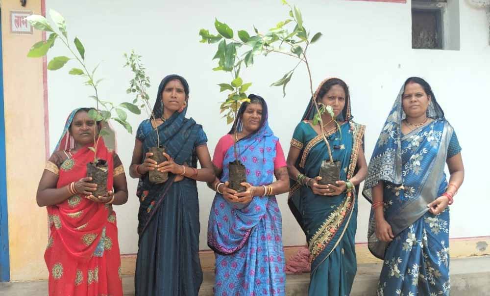 छत्तीसगढ़ में हरियाली का महाअभियान, 2.45 लाख महिलाएं एक साथ लगाएंगी पौधे