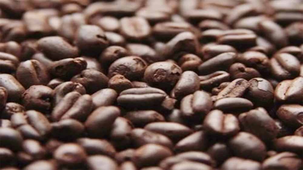 छत्तीसगढ़ के अबूझमाड़ में कॉफी मिशन की तैयारी, अधिकारियों को ओडिशा भेजा जाएगा ट्रेनिंग के लिए छत्तीसगढ़ के अबूझमाड़ में कॉफी मिशन की तैयारी, अधिकारियों को ओडिशा भेजा जाएगा ट्रेनिंग के लिए