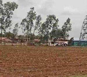 छत्तीसगढ़ में बारिश पर ब्रेक, किसानों की बोवनी-रोपाई की रफ्तार पड़ी धीमी छत्तीसगढ़ में बारिश पर ब्रेक, किसानों की बोवनी-रोपाई की रफ्तार पड़ी धीमी