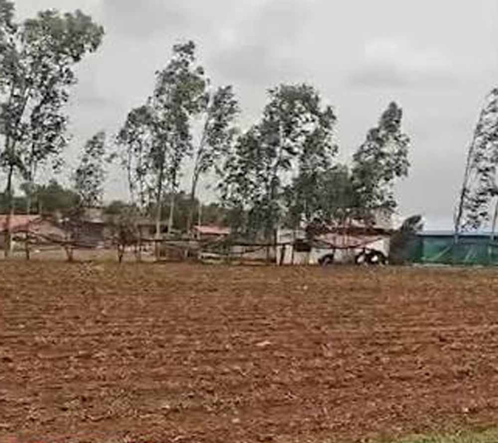 छत्तीसगढ़ में बारिश पर ब्रेक, किसानों की बोवनी-रोपाई की रफ्तार पड़ी धीमी