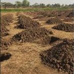छत्तीसगढ़ में वर्षा जल संचयन को बढ़ावा, 54 हजार से ज्यादा सोख्ता गड्ढों का निर्माण