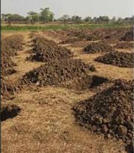 छत्तीसगढ़ में वर्षा जल संचयन को बढ़ावा, 54 हजार से ज्यादा सोख्ता गड्ढों का निर्माण