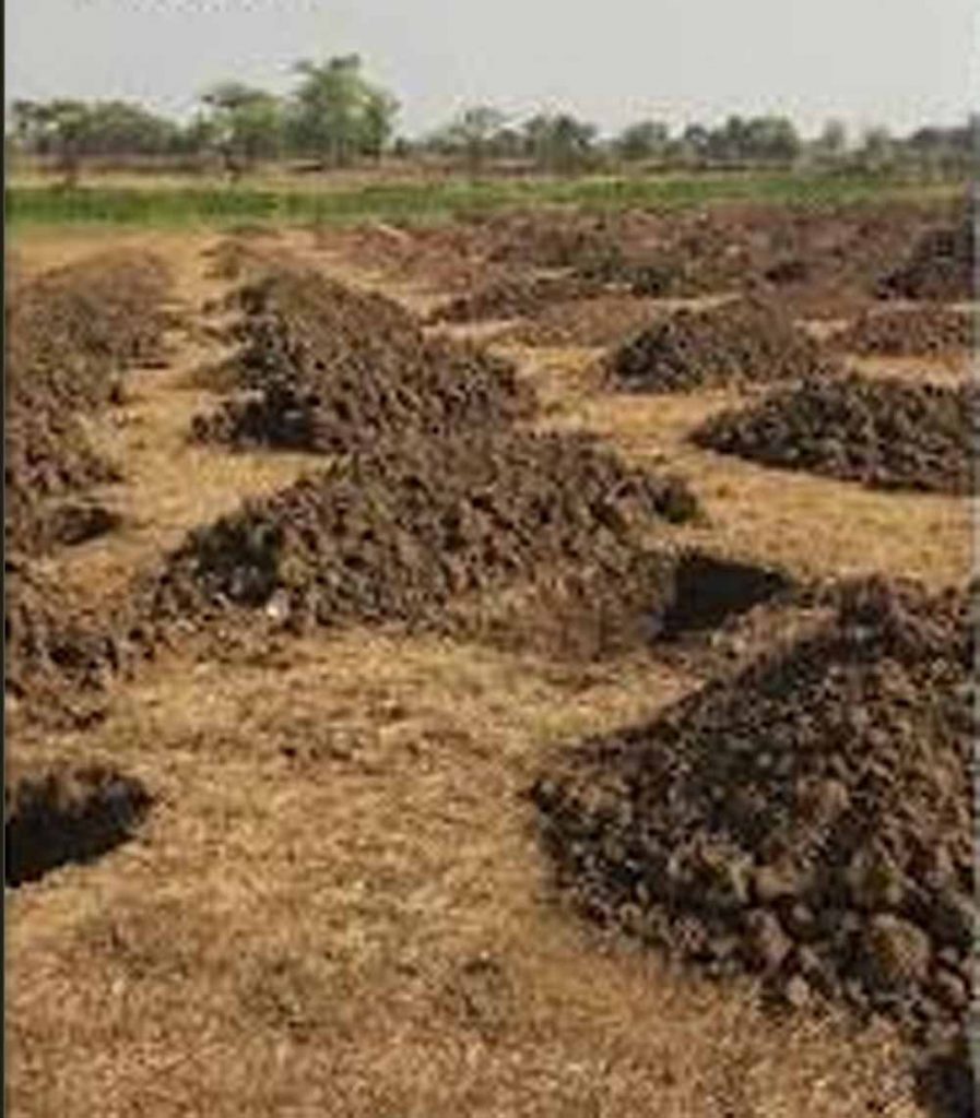 छत्तीसगढ़ में वर्षा जल संचयन को बढ़ावा, 54 हजार से ज्यादा सोख्ता गड्ढों का निर्माण