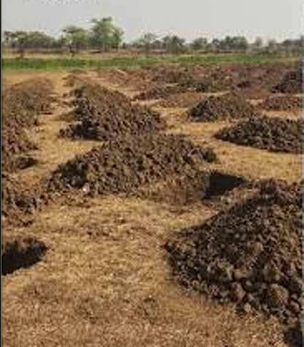 छत्तीसगढ़ में वर्षा जल संचयन को बढ़ावा, 54 हजार से ज्यादा सोख्ता गड्ढों का निर्माण छत्तीसगढ़ में वर्षा जल संचयन को बढ़ावा, 54 हजार से ज्यादा सोख्ता गड्ढों का निर्माण