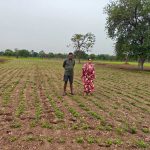 खेती में बदलाव ला रहा समृद्धि का रास्ता, लाभकारी फसलों से बढ़ी किसानों की आय खेती में बदलाव ला रहा समृद्धि का रास्ता, लाभकारी फसलों से बढ़ी किसानों की आय