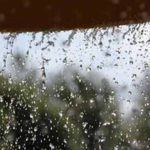 हरियाणा के कई जिलों में होगी तेज बारिश हरियाणा के कई जिलों में होगी तेज बारिश