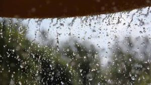 हरियाणा के कई जिलों में होगी तेज बारिश हरियाणा के कई जिलों में होगी तेज बारिश