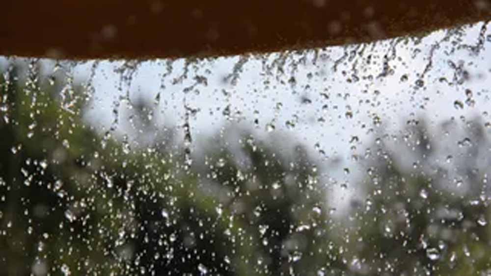 हरियाणा के कई जिलों में होगी तेज बारिश हरियाणा के कई जिलों में होगी तेज बारिश