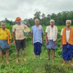 10 एकड़ में सामूहिक खेती कर किसान बदल रहे समृद्धि की तस्वीर, 175 से 180 रुपये किलो बिक रहा जवांफूल चावल