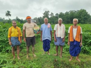 10 एकड़ में सामूहिक खेती कर किसान बदल रहे समृद्धि की तस्वीर, 175 से 180 रुपये किलो बिक रहा जवांफूल चावल
