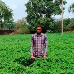 महासमुंद के किसान हिमांशु बंजारे ने ढैंचा की हरी खाद से शुरू की जैविक खेती