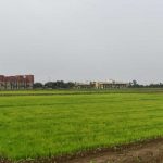 विलंबित मानसून के बीच धान किसानों के लिए आईसीएआर-एनआईबीएसएम की विशेष सलाह विलंबित मानसून के बीच धान किसानों के लिए आईसीएआर-एनआईबीएसएम की विशेष सलाह