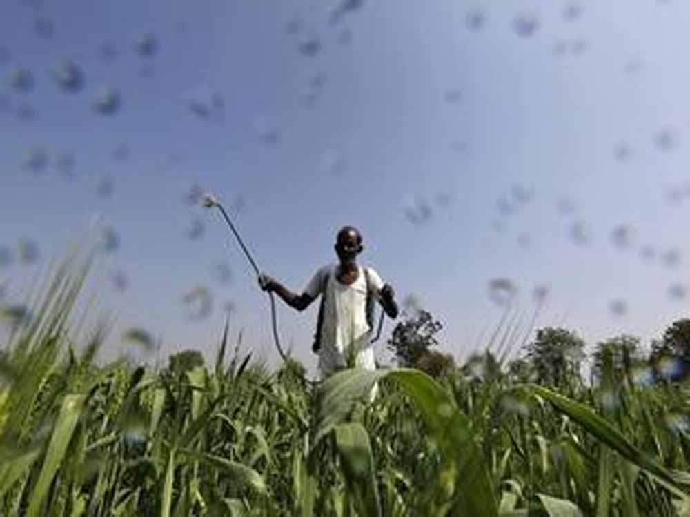 जगदीशपुर में होने वाली केबिनेट में किसानों को की जाएगी राशि अंतरित जगदीशपुर में होने वाली केबिनेट में किसानों को की जाएगी राशि अंतरित