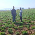 कमाया 70 हजार रूपए का अतिरिक्त लाभ कमाया 70 हजार रूपए का अतिरिक्त लाभ