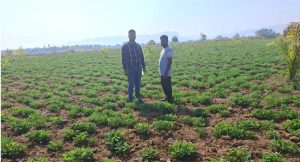 कमाया 70 हजार रूपए का अतिरिक्त लाभ कमाया 70 हजार रूपए का अतिरिक्त लाभ