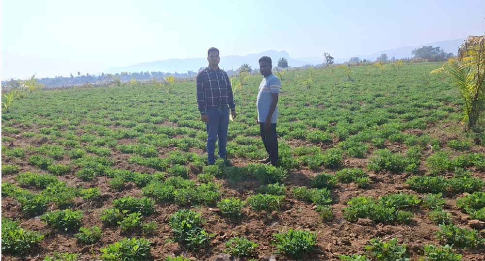 कमाया 70 हजार रूपए का अतिरिक्त लाभ कमाया 70 हजार रूपए का अतिरिक्त लाभ