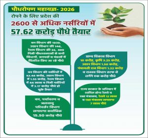वन विभाग की 1939, उद्यान विभाग की 146, रेशम विभाग की 55, 499 निजी पौधशालाओं से सभी विभागों, जनपदों व मंडलों में वितरित किए जा रहे पौधे