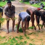 गड्ढों में धान की रोपाई कर फूटा ग्रामीणों का गुस्सा, सड़क निर्माण की मांग तेज गड्ढों में धान की रोपाई कर फूटा ग्रामीणों का गुस्सा, सड़क निर्माण की मांग तेज