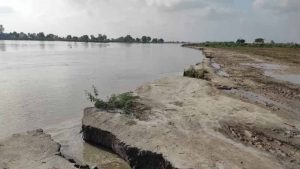 पंजाब के फिरोजपुर में नहर कटाव से 400 एकड़ फसल डूबी, भारी नुकसान से किसान परेशान