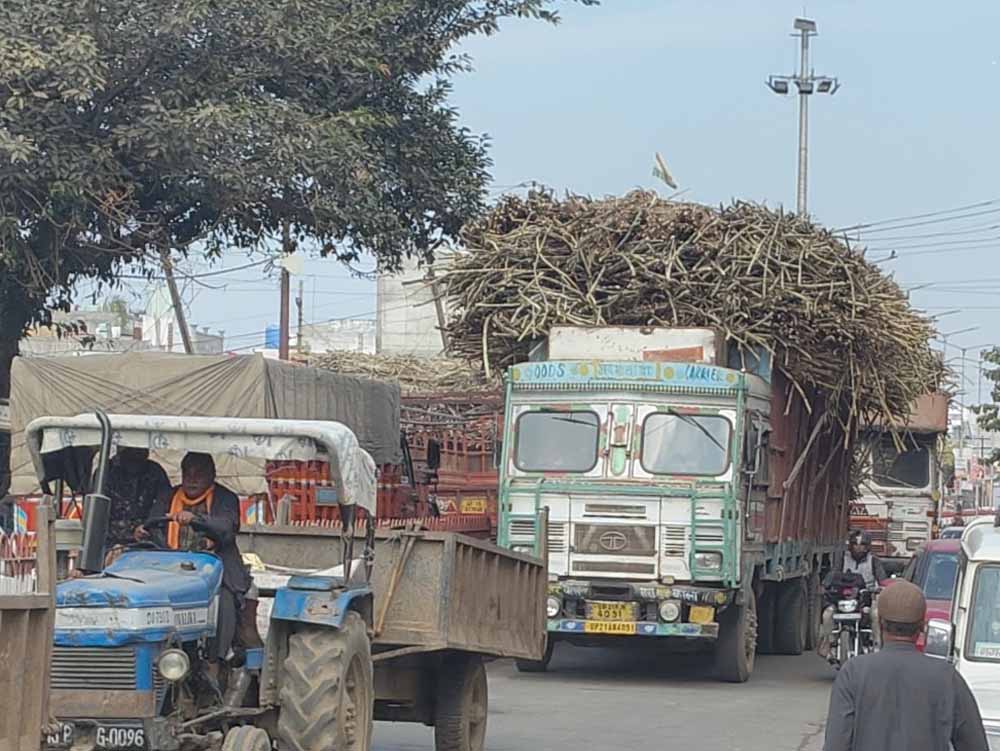 गांव की सड़कों को बचाने के लिए पंचायत का बड़ा फैसला, अब नहीं चलेंगे ओवरलोड ट्राले