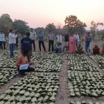 डिजिटल एवं पारदर्शी व्यवस्था से सीधे खातों में अंतरित हुई प्रोत्साहन पारिश्रमिक राशि, वनवासी परिवारों की आजीविका और ग्रामीण अर्थव्यवस्था को मिला नया संबल