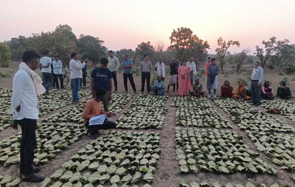 डिजिटल एवं पारदर्शी व्यवस्था से सीधे खातों में अंतरित हुई प्रोत्साहन पारिश्रमिक राशि, वनवासी परिवारों की आजीविका और ग्रामीण अर्थव्यवस्था को मिला नया संबल डिजिटल एवं पारदर्शी व्यवस्था से सीधे खातों में अंतरित हुई प्रोत्साहन पारिश्रमिक राशि, वनवासी परिवारों की आजीविका और ग्रामीण अर्थव्यवस्था को मिला नया संबल