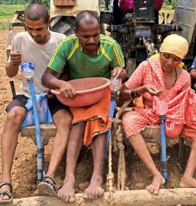राष्ट्रीय खाद्य तेल मिशन योजना से मिली गुणवत्ता युक्त बीज की सौगात राष्ट्रीय खाद्य तेल मिशन योजना से मिली गुणवत्ता युक्त बीज की सौगात