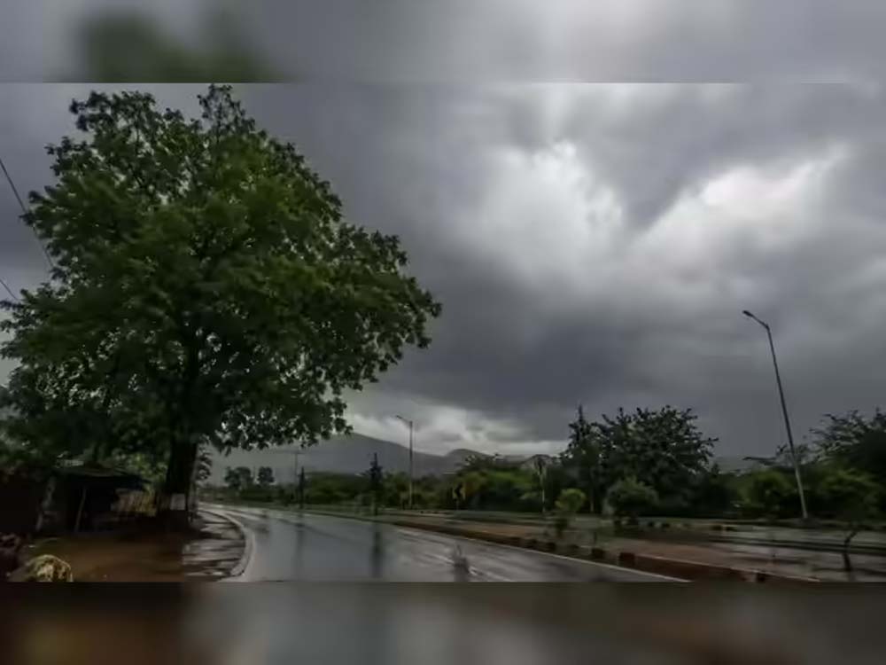 हरियाणा में मानसून पहुंचा, कई जिलों में झमाझम बारिश; पूरे प्रदेश में जल्द छाने के आसार हरियाणा में मानसून पहुंचा, कई जिलों में झमाझम बारिश; पूरे प्रदेश में जल्द छाने के आसार