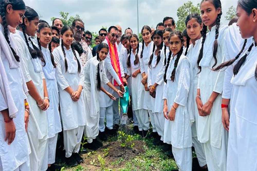 हरियाली महोत्सव के अंतर्गत हुआ पौध-रोपण हरियाली महोत्सव के अंतर्गत हुआ पौध-रोपण