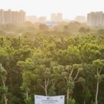 रिज क्षेत्र में 100 से ज्यादा पेड़ काटने से पहले अनिवार्य होगा साइट निरीक्षण
