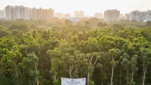 रिज क्षेत्र में 100 से ज्यादा पेड़ काटने से पहले अनिवार्य होगा साइट निरीक्षण